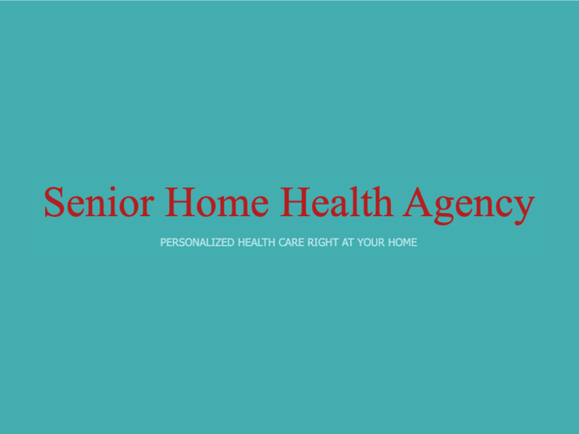 SENIOR HOME HEALTH AGENCY home care agency in Morton Grove, IL