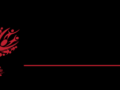 EXCEL HOME HEALTH CARE home care agency in Lebanon, IN