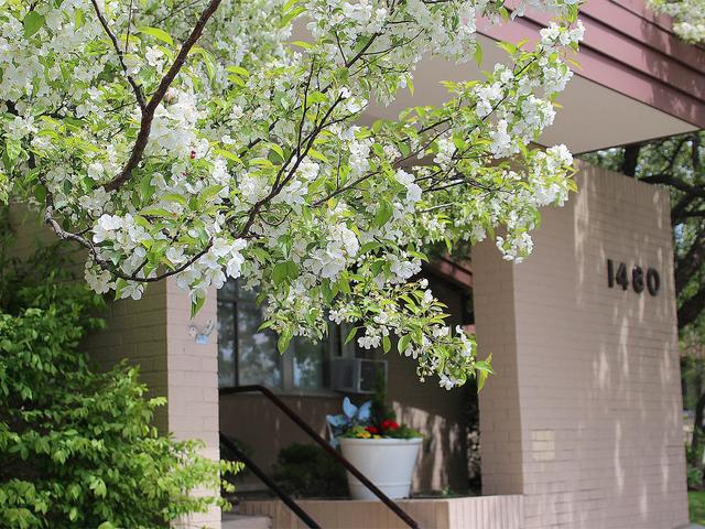 THE SPRINGS AT ROCHESTER HILLS REHAB & NURSING CTR home care agency in Rochester Hills, MI