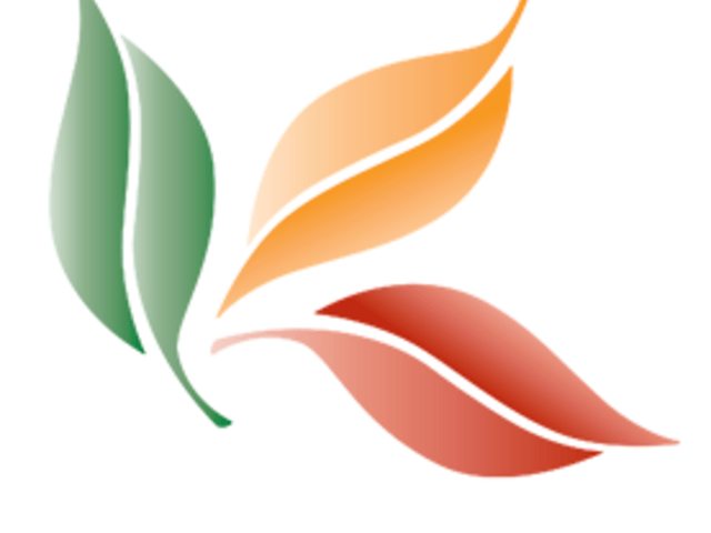 MARY T HOME HEALTH home care agency in Coon Rapids, MN