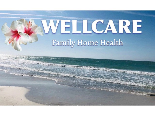 WELLCARE HOME HEALTH home care agency in Dayton, OH