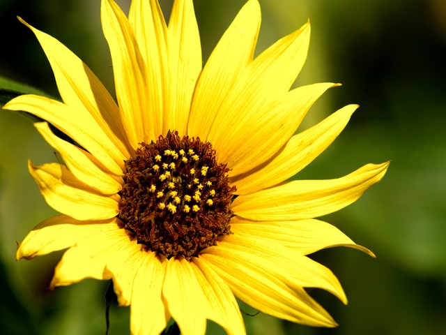 ROLLING HILLS CARE CENTER home care agency in Catoosa, OK