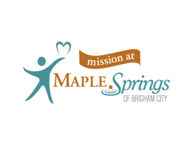 MSM BRIGHAM CITY LLC home care agency in Brigham City, UT