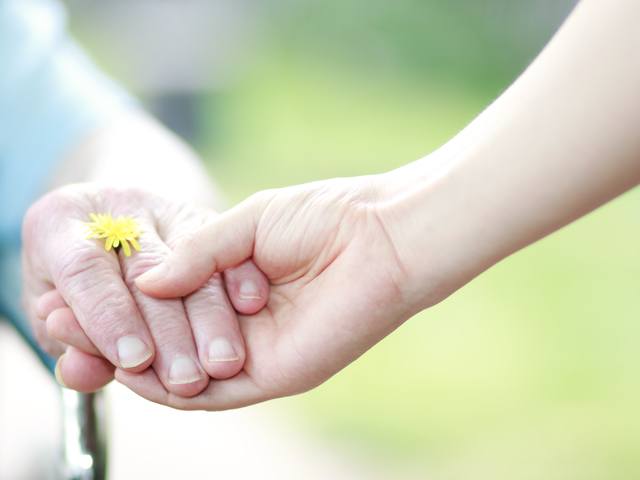 WHOLE LIFE HOME HEALTH CARE, INC. home care agency in Encinitas, CA