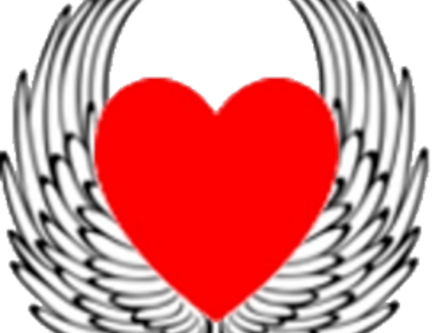 ANGELS ADVOCATE HOME CARE LLC home care agency in Broomfield, CO