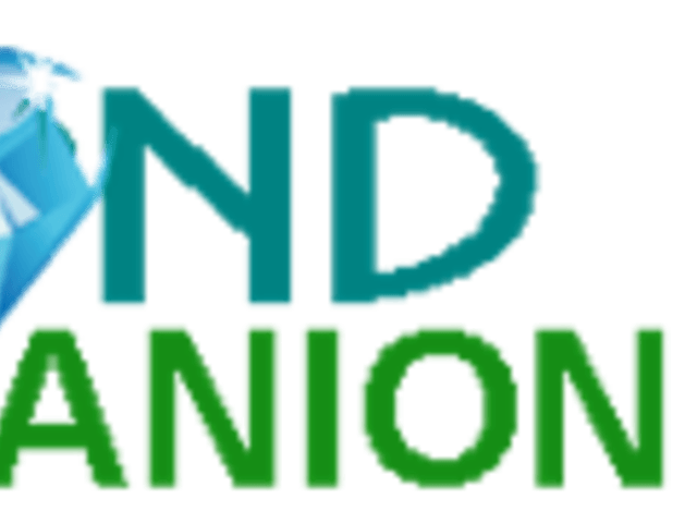 DIAMOND ELITE COMPANION CARE SERVICE INC home care agency in West Palm Beach, FL