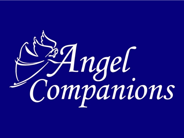 ANGEL COMPANIONS, LLC home care agency in Marietta, GA
