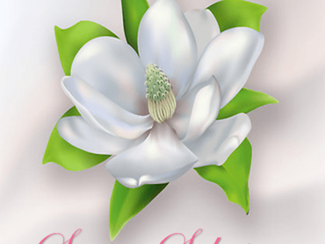 SENIOR SOLUTIONS HOME CARE, LLC home care agency in Albany, GA