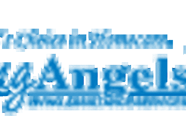 Premier Senior Care, inc. - DBA Visiting Angels of the Fox Valley home care agency in North Aurora, IL