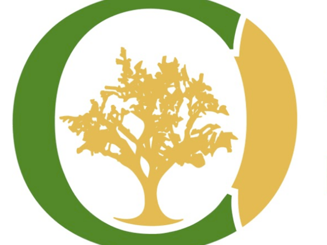 Care One Home Health Services, Inc. home care agency in Bolingbrook, IL