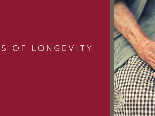 HOME CARE ASSISTANCE OF MINNES home care agency in Maple Grove, MN