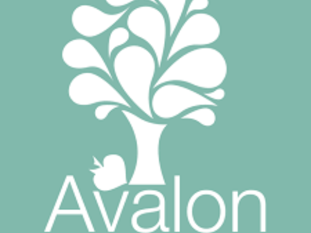 AVALON PRIVATE DUTY HOME CARE home care agency in Las Vegas, NV