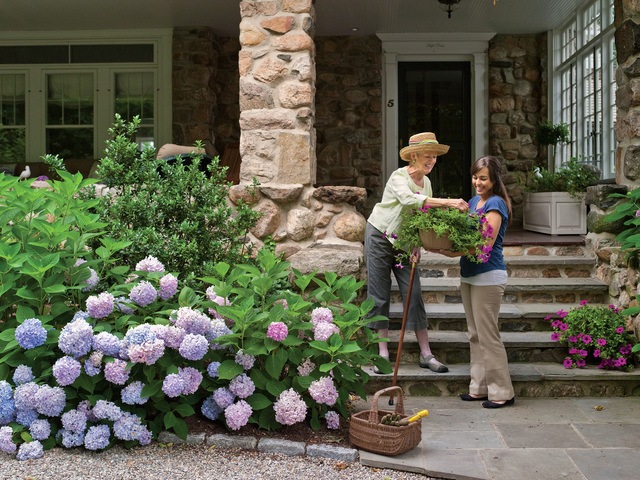 Lifeworx Care LLC home care agency in New York, NY