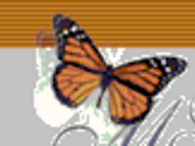 McCall's Chapel School home care agency in Ada, OK