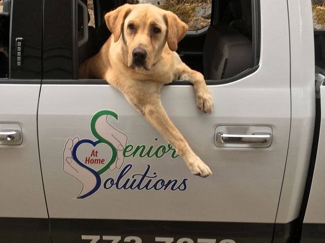 AT HOME SENIOR SOLUTIONS home care agency in Medford, OR