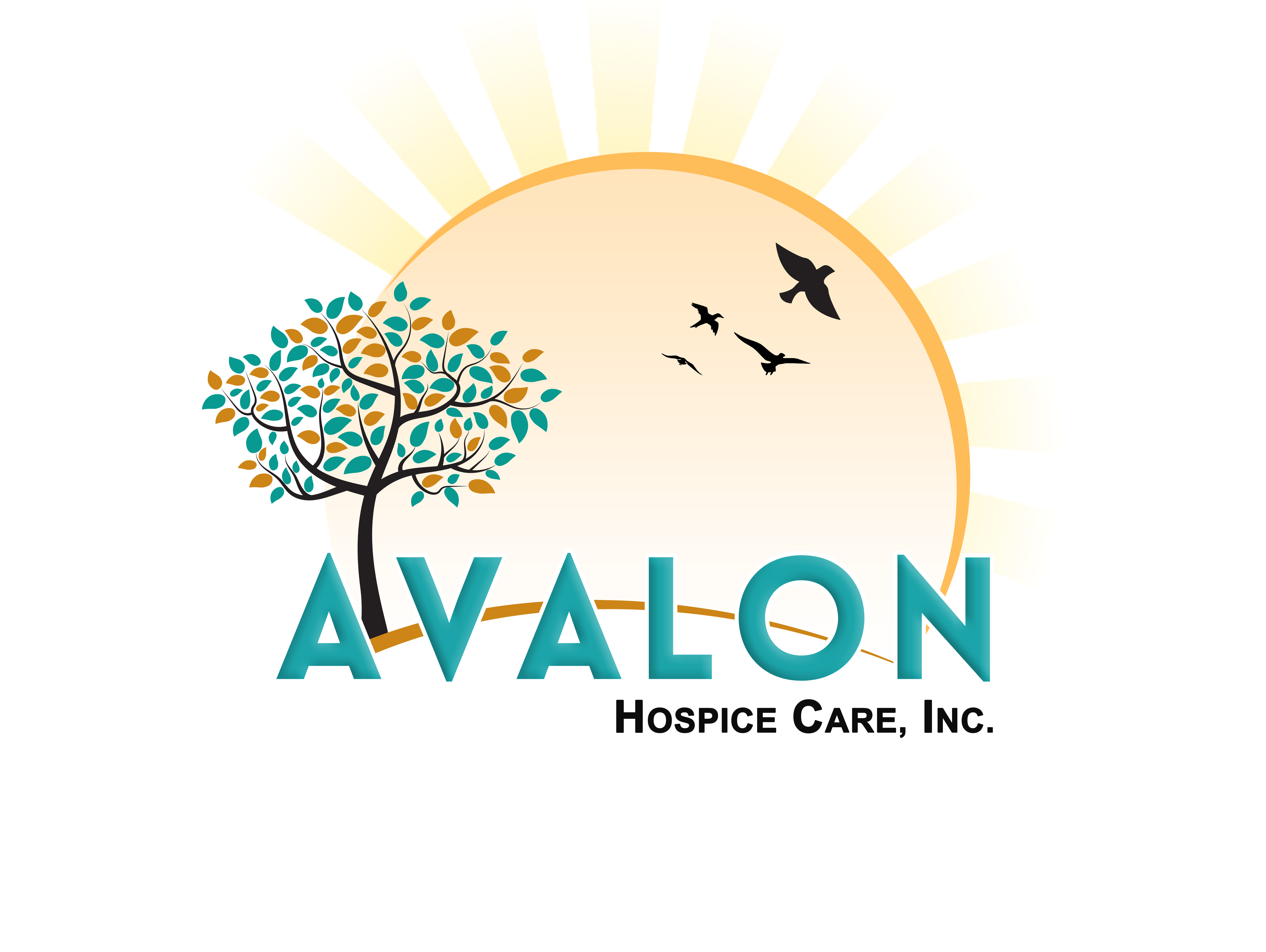 AVALON HOSPICE CARE INC home care agency in Chatsworth, CA