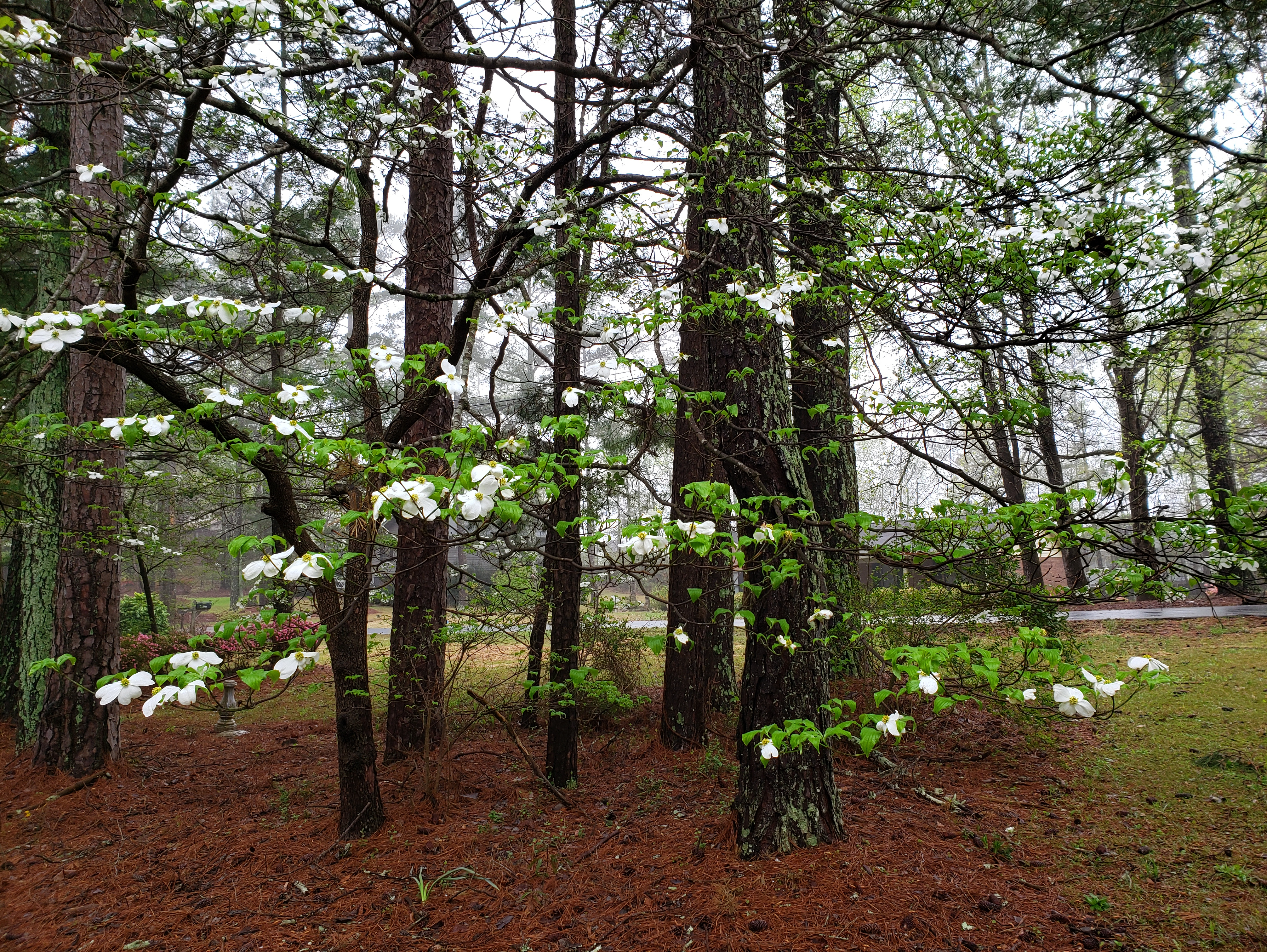Serene House of Care Personal Care Home in Riverdale, GA