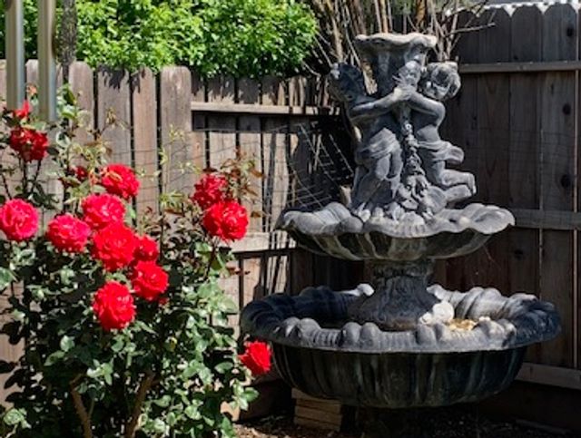 Dignity Point Senior Home Care Residential Care Elderly in Modesto, CA