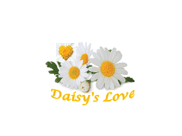 Daisy's Love Homecare Services home care agency in Mcdonough, GA