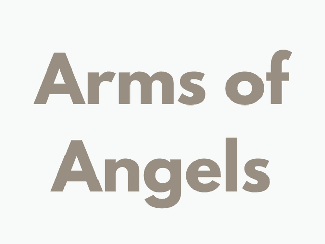 Arms of Angels home care agency in Columbia, SC